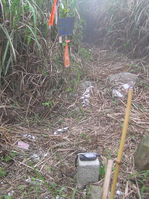 到南投信义地利捉竹鸡,探姑姑